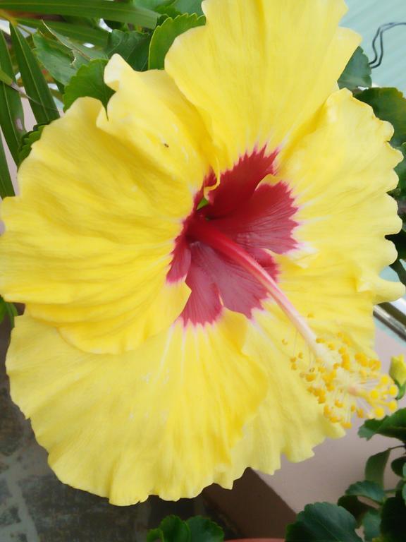 Phu Quoc An Guesthouse מראה חיצוני תמונה